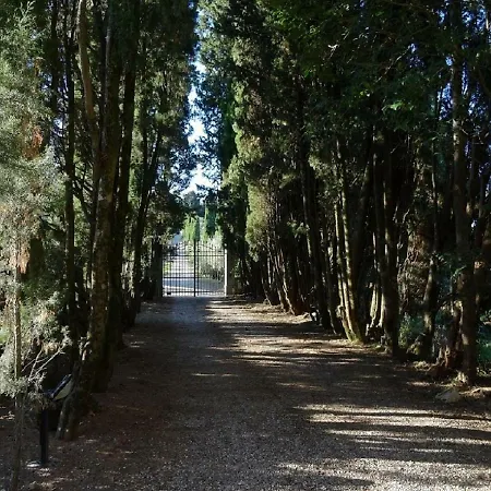 Castello Di Colognole - Quaratesi 基安蒂格雷夫